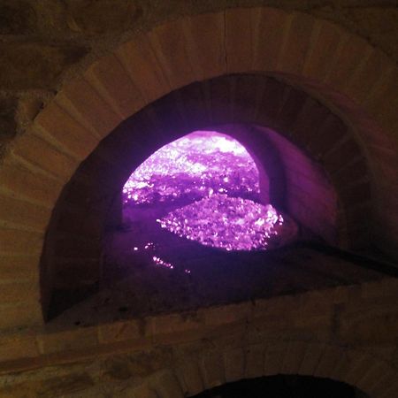 Agriturismo Le Case 아시시 외부 사진