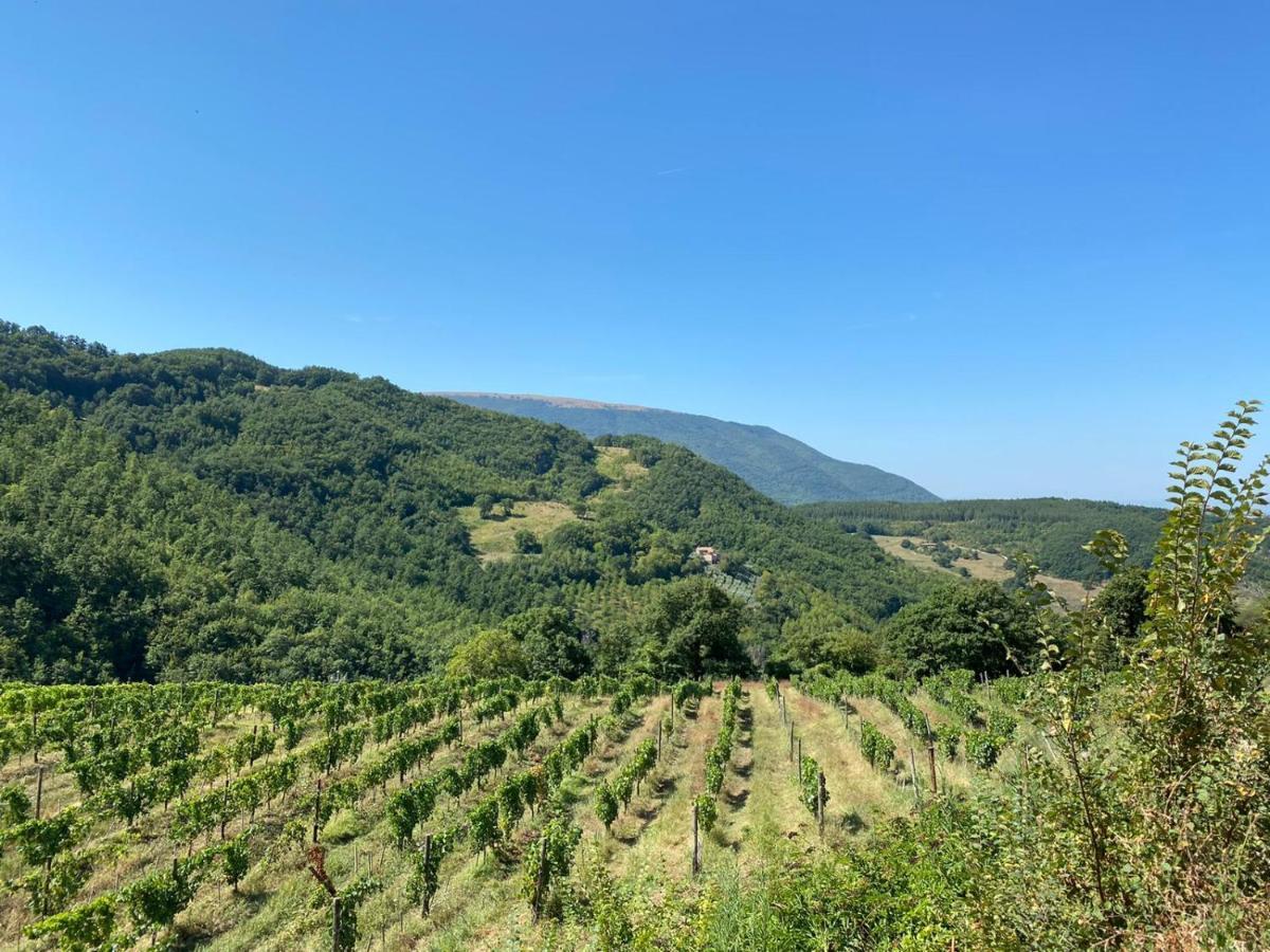 Agriturismo Le Case 아시시 외부 사진