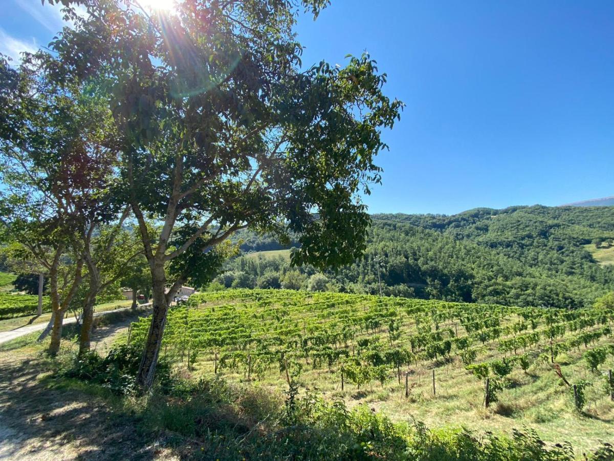 Agriturismo Le Case 아시시 외부 사진