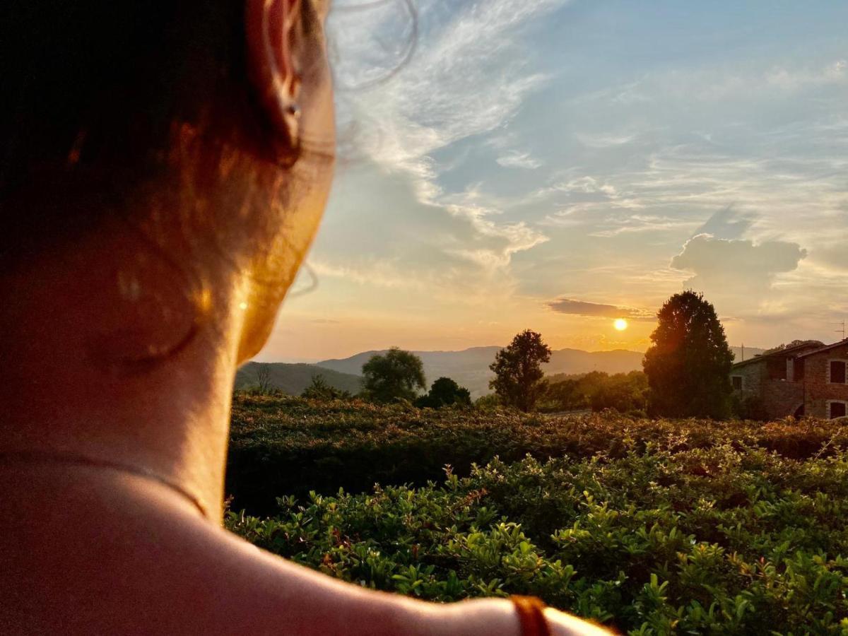 Agriturismo Le Case 아시시 외부 사진