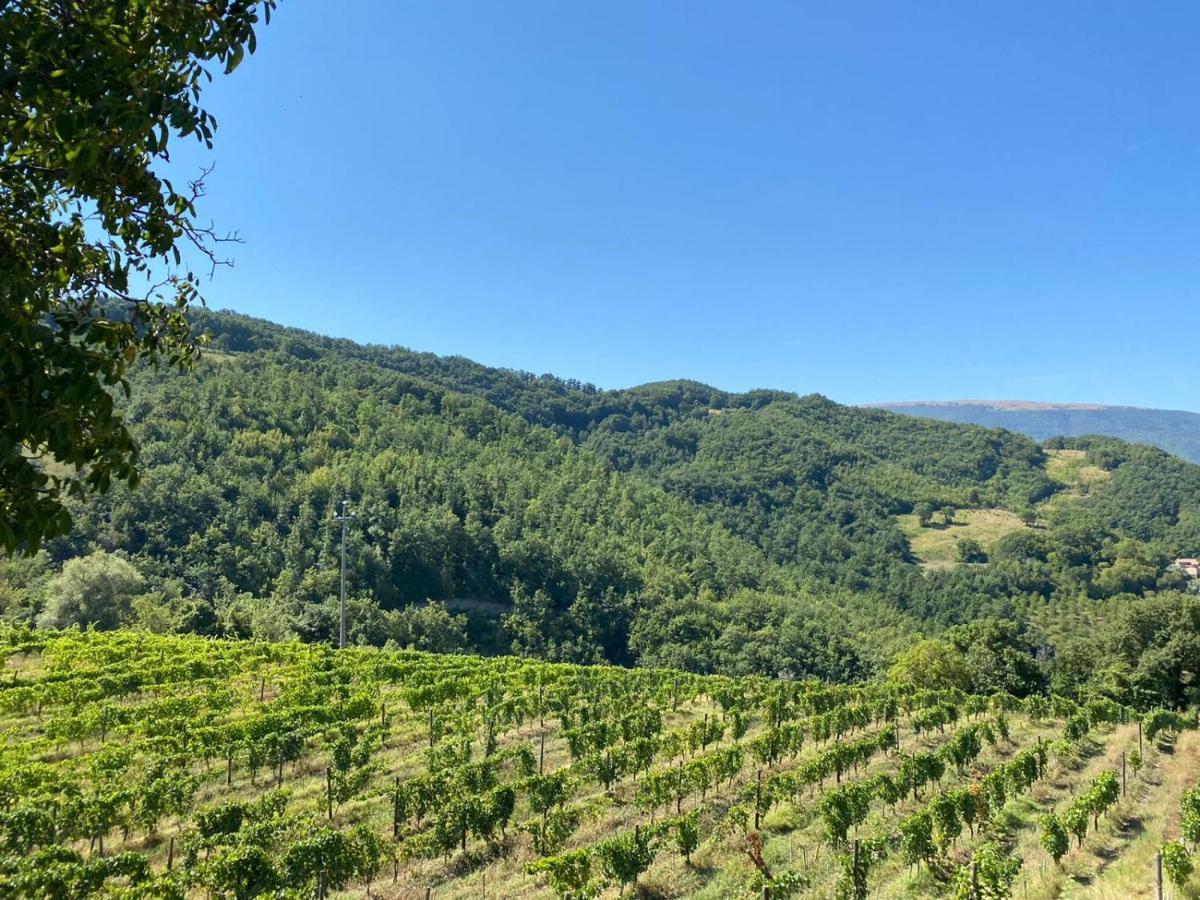 Agriturismo Le Case 아시시 외부 사진