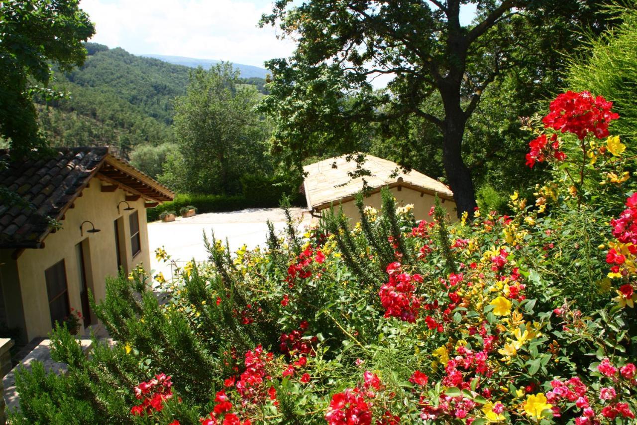 Agriturismo Le Case 아시시 외부 사진