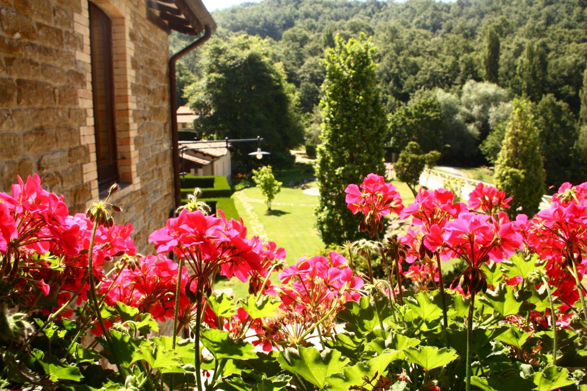 Agriturismo Le Case 아시시 외부 사진