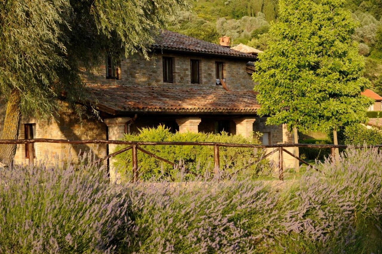 Agriturismo Le Case 아시시 외부 사진